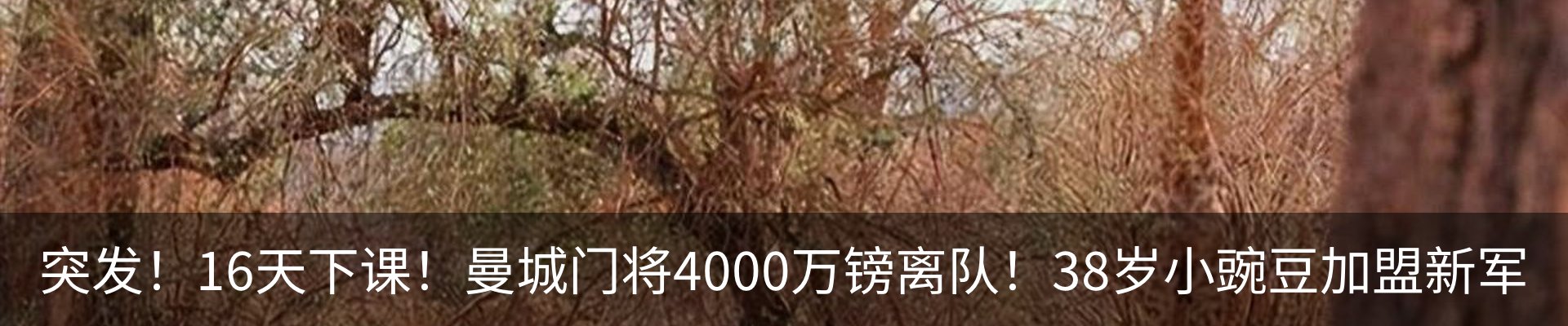 内页banner